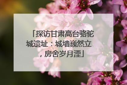 探访甘肃高台骆驼城遗址：城墙巍然立，房舍岁月湮