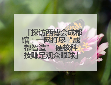探访西博会成都馆：一网打尽“成都智造” 硬核科技赚足观众眼球