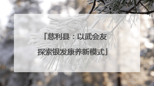 慈利县：以武会友 探索银发康养新模式