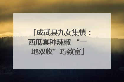 成武县九女集镇：西瓜套种辣椒 “一地双收”巧致富