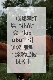 成都网红墙“花花”变“labubu”引争议 最新：涂鸦已被抹掉