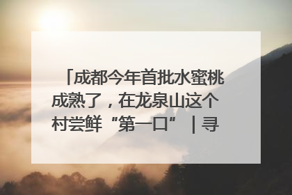 成都今年首批水蜜桃成熟了，在龙泉山这个村尝鲜“第一口”｜寻找和美乡村推荐官