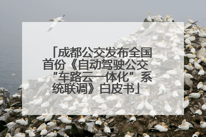 成都公交发布全国首份《自动驾驶公交“车路云一体化”系统联调》白皮书