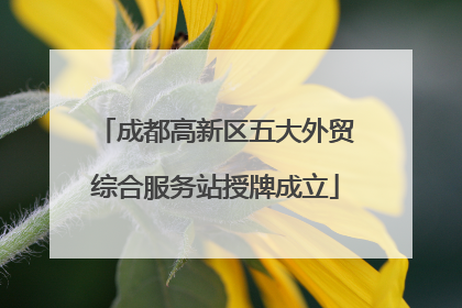 成都高新区五大外贸综合服务站授牌成立