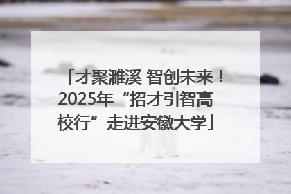 才聚濉溪 智创未来！2025年“招才引智高校行”走进安徽大学