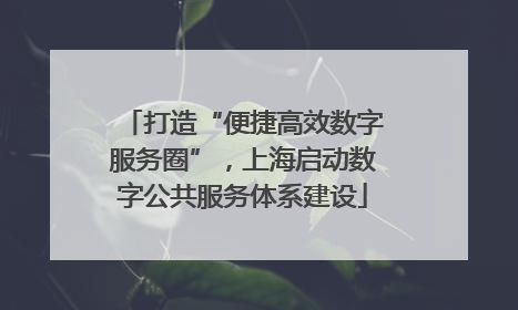 打造“便捷高效数字服务圈”，上海启动数字公共服务体系建设