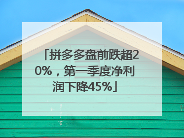 拼多多盘前跌超20%，第一季度净利润下降45%