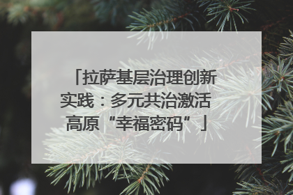 拉萨基层治理创新实践：多元共治激活高原“幸福密码”