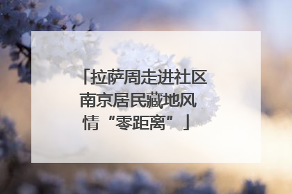 拉萨周走进社区 南京居民藏地风情“零距离”