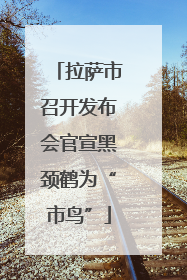拉萨市召开发布会官宣黑颈鹤为“市鸟”
