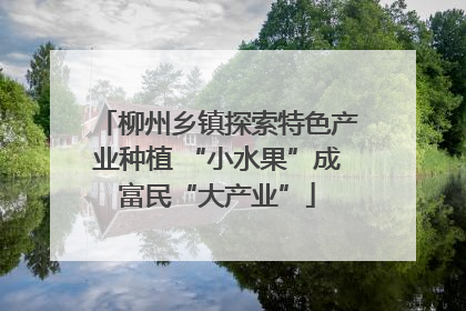 柳州乡镇探索特色产业种植 “小水果”成富民“大产业”
