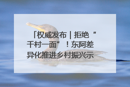 权威发布｜拒绝“千村一面”！东阿差异化推进乡村振兴示范片区建设
