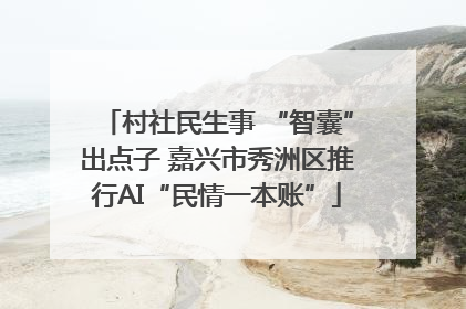村社民生事 “智囊”出点子 嘉兴市秀洲区推行AI“民情一本账”