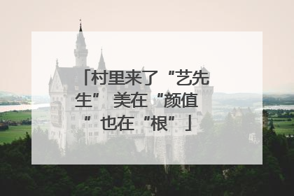 村里来了“艺先生” 美在“颜值”也在“根”