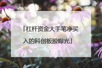 杠杆资金大手笔净买入的科创板股曝光