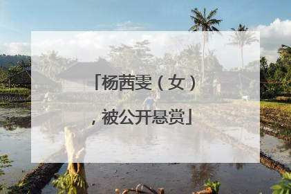 杨茜雯（女），被公开悬赏