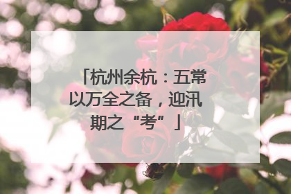 杭州余杭：五常以万全之备，迎汛期之“考”