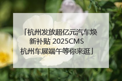 杭州发放超亿元汽车焕新补贴 2025CMS杭州车展端午等你来逛