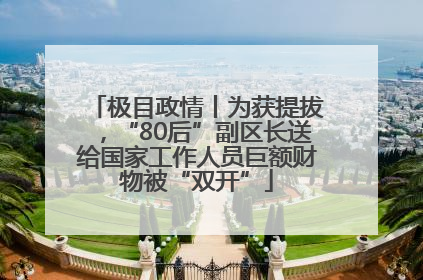 极目政情丨为获提拔，“80后”副区长送给国家工作人员巨额财物被“双开”