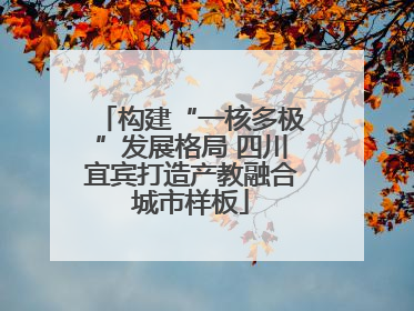 构建“一核多极”发展格局 四川宜宾打造产教融合城市样板