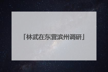 林武在东营滨州调研