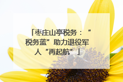 枣庄山亭税务：“税务蓝”助力退役军人“再起航”