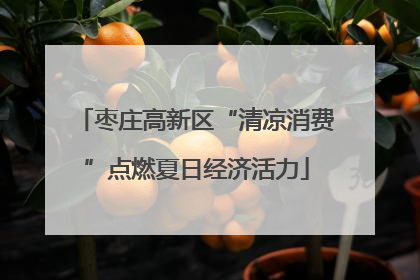 枣庄高新区“清凉消费”点燃夏日经济活力