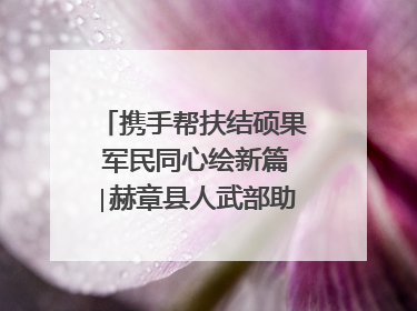 携手帮扶结硕果 军民同心绘新篇∣赫章县人武部助力大凉山村阔步乡村振兴路