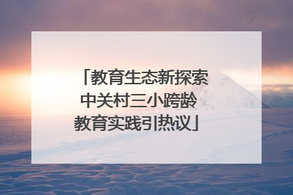 教育生态新探索 中关村三小跨龄教育实践引热议