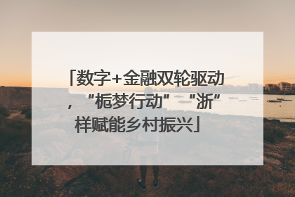 数字+金融双轮驱动，“栀梦行动”“浙”样赋能乡村振兴