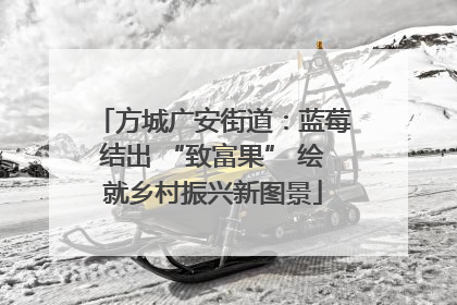 方城广安街道：蓝莓结出 “致富果” 绘就乡村振兴新图景