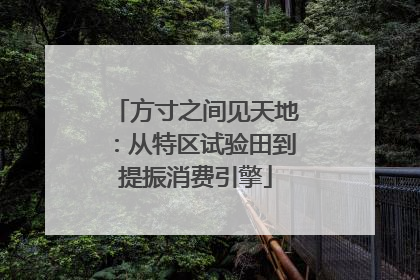 方寸之间见天地：从特区试验田到提振消费引擎