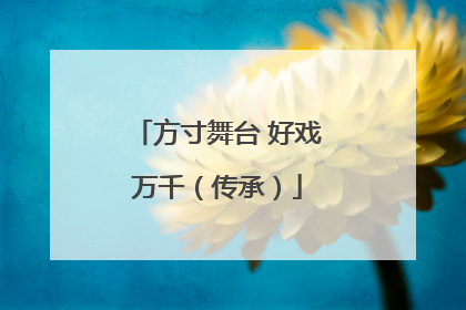 方寸舞台 好戏万千（传承）