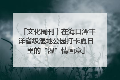 文化周刊丨在海口潭丰洋省级湿地公园打卡夏日里的“湿”情画意