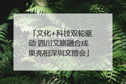 文化+科技双轮驱动 四川文旅融合成果亮相深圳文博会