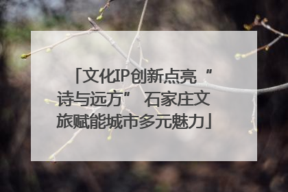 文化IP创新点亮“诗与远方” 石家庄文旅赋能城市多元魅力