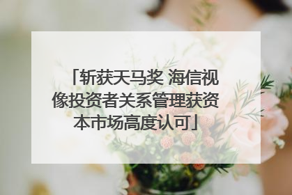 斩获天马奖 海信视像投资者关系管理获资本市场高度认可