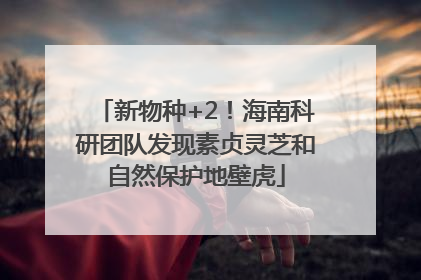 新物种+2！海南科研团队发现素贞灵芝和自然保护地壁虎