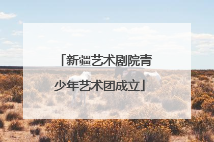 新疆艺术剧院青少年艺术团成立