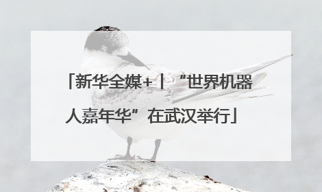 新华全媒+丨“世界机器人嘉年华”在武汉举行