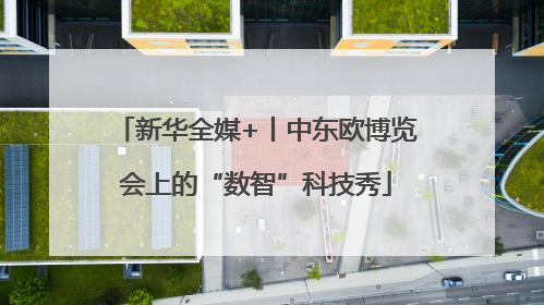 新华全媒+丨中东欧博览会上的“数智”科技秀