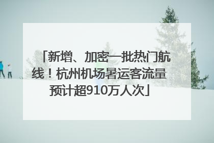 新增、加密一批热门航线！杭州机场暑运客流量预计超910万人次