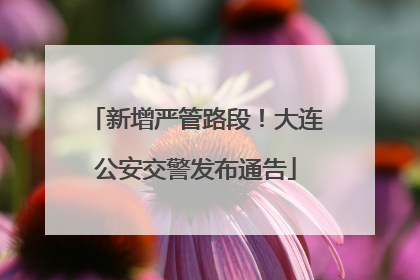 新增严管路段！大连公安交警发布通告