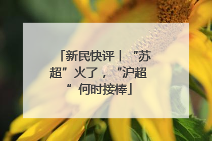 新民快评丨“苏超”火了，“沪超”何时接棒