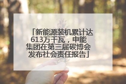新能源装机累计达613万千瓦，申能集团在第三届碳博会发布社会责任报告