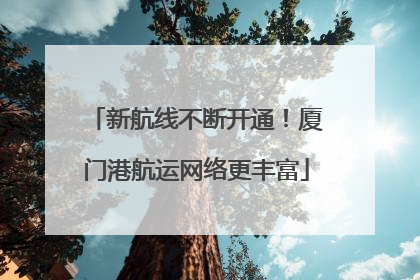新航线不断开通！厦门港航运网络更丰富