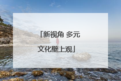 新视角 多元文化壁上观