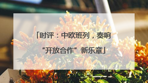时评：中欧班列，奏响“开放合作”新乐章