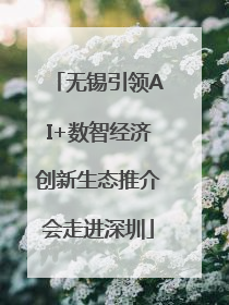 无锡引领AI+数智经济创新生态推介会走进深圳