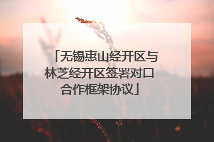无锡惠山经开区与林芝经开区签署对口合作框架协议